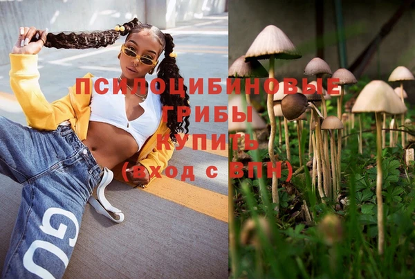 бошки Нефтекумск