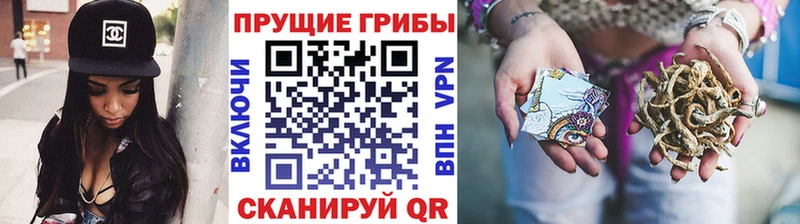 KRAKEN ССЫЛКА Саяногорск Псилоцибиновые грибы MAGIC MUSHROOMS